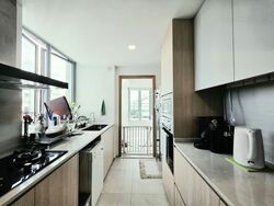 Park Infinia At Wee Nam (D11), Condominium #576717781